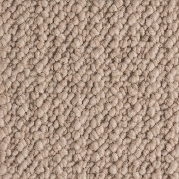 Aoraki - Image 3
